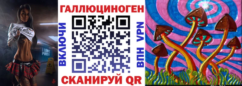 Псилоцибиновые грибы Psilocybe  Купить закладки  Касимов 